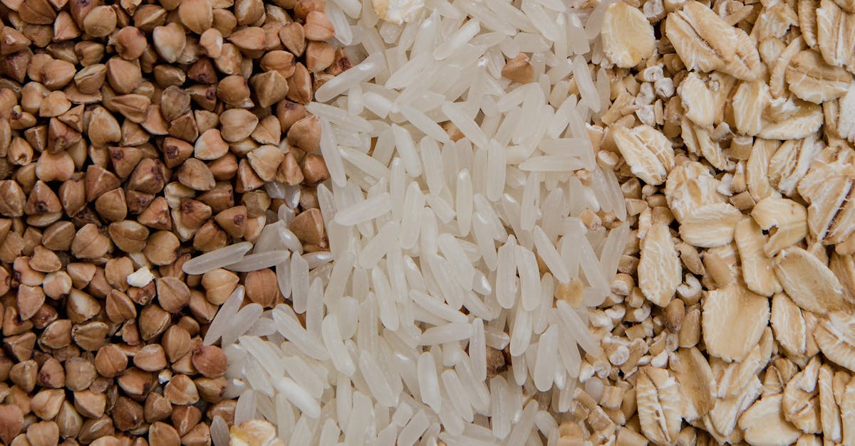 Strength Training for Weight Gain